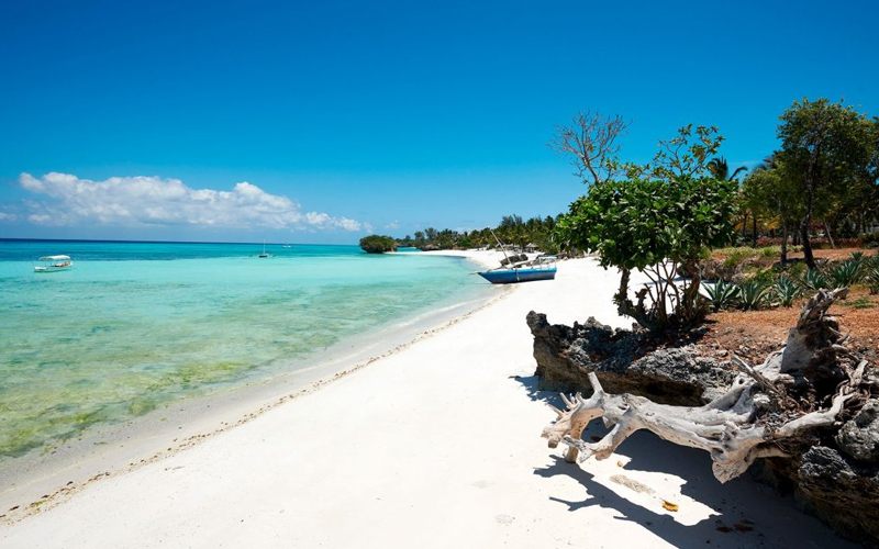 Top Activities to Enjoy on Tanzania’s Beaches