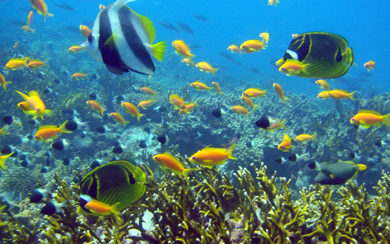 Top Family-Friendly Activities in Tanzania