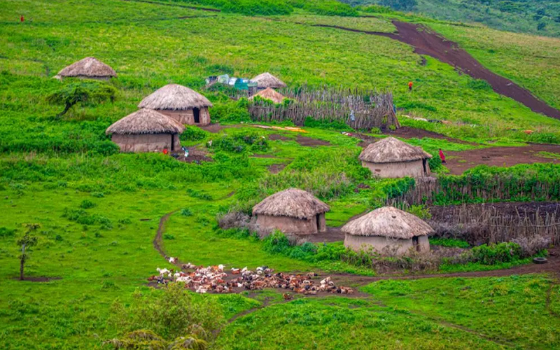 Top Family-Friendly Activities in Tanzania