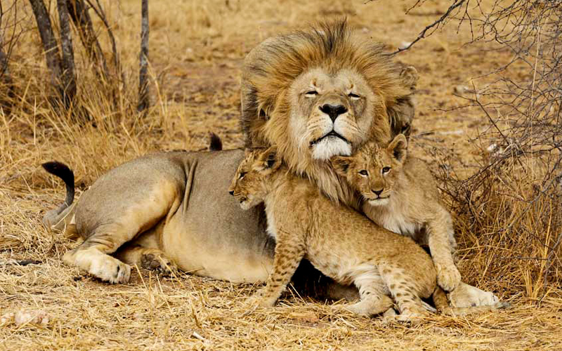 How Responsible Tourism is Shaping Tanzania’s Safaris Amidst Global Awareness in 2024