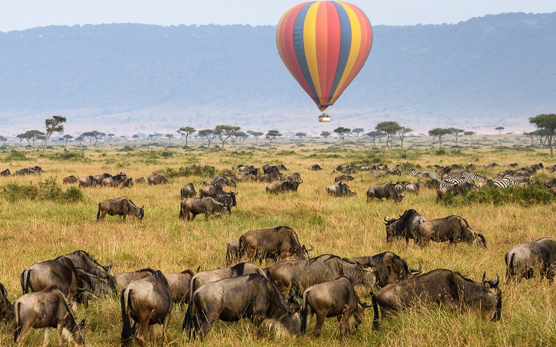 How Responsible Tourism is Shaping Tanzania’s Safaris Amidst Global Awareness in 2024