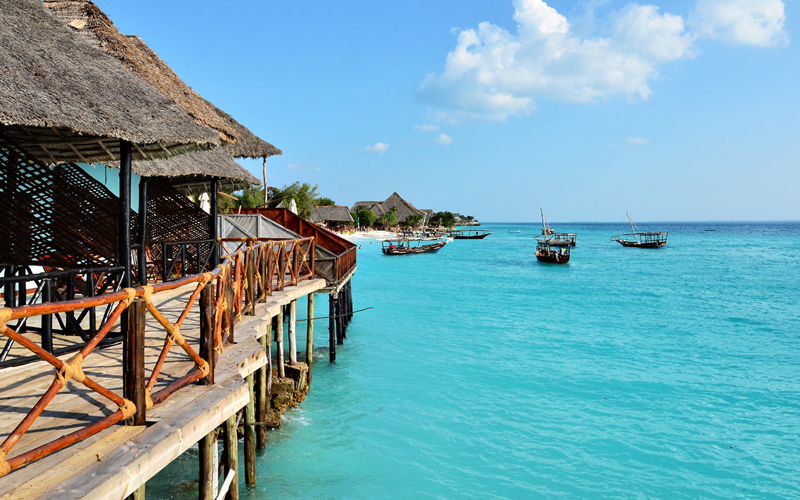 Beach or Safari for Christmas? Why Not Both in Tanzania 2024!