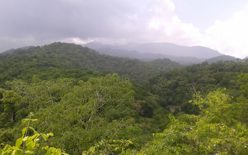 Tanzania's Hidden Gems: Off-the-Beaten-Path Safaris and Treks in 2025